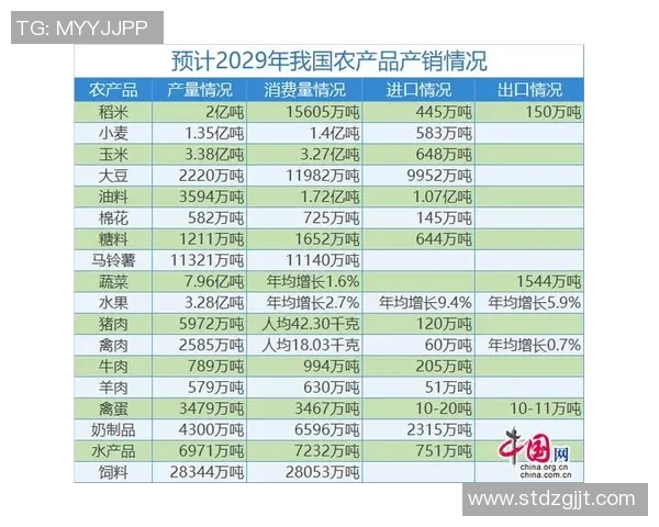 成都排球队的转型升级之路探索与未来展望