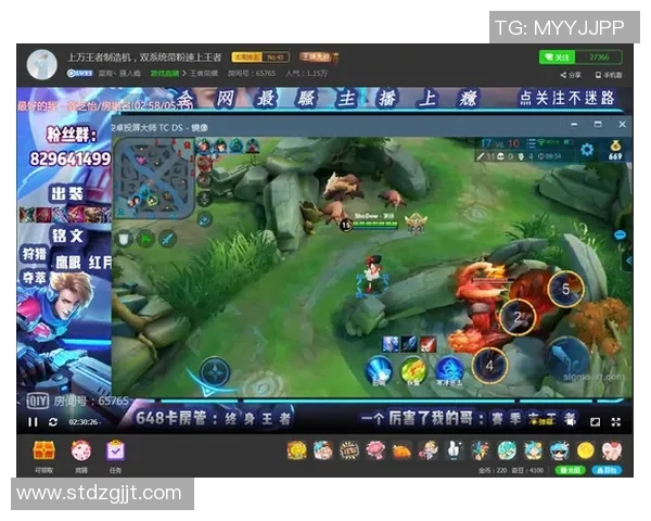杨磊独家揭秘王者荣耀游戏技巧与心得分享助你快速提升段位
